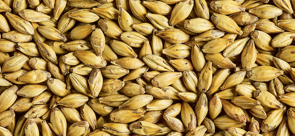 premium_english_caramalt_003.jpg