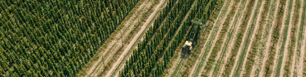 YCH-20190916-DJI_0159-scaled.jpg